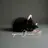 吉祥寺ネイル&耳つぼ 🐈⬛🎀ANZUのプロフィール画像