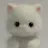 【lapte】 中目黒のプロフィール画像