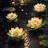 AZU 【アズ】あやはのプロフィール画像