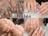 Nail Salon Haleaのプロフィール画像