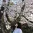 EARTH こころのプロフィール画像
