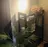 【CuTi】 relaxation