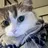 小林 詩瑶のプロフィール画像