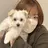 Marina Yamagataのプロフィール画像