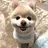 ROMMY yoshinoのプロフィール画像