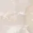 えんどう ももかのプロフィール画像