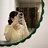 eyesalon aimeeのプロフィール画像