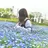 Ccoco_nail 【シーココネイル】のプロフィール画像