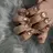 nailsalon Loa