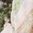 *:.ボブカット 岡村 菜々美.:*のプロフィール画像