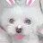 アトリエ CoCoのプロフィール画像