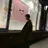 ケアブリーチ 若杉圭大のプロフィール画像
