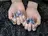 Lya Nail Salonのプロフィール画像