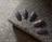 croitre YU