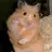 Doraemon ANA.CHUOのプロフィール画像