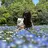 アヤカ🫧 Chapi.nailのプロフィール画像
