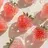 Monotone 𝓨𝓾𝓴𝓪🍓のプロフィール画像