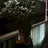 ꒰ঌOlivia 依田🪄︎︎໒꒱