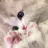 ひるた りののプロフィール画像