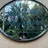 Allure MIZUKIのプロフィール画像