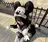 Lowen / shionのプロフィール画像