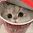 A&A蕨 tsumurayaのプロフィール画像