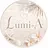 . Lumi-A