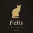 Felis りお