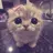 laboT mのプロフィール画像