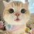 Kawaii _Nailのプロフィール画像