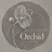 nail salon Orchid