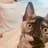 hi nanaのプロフィール画像