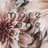 more edge 表参道のプロフィール画像