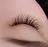 Lieto roomのプロフィール画像