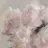 𝐻𝑎𝑛𝑎 / hwaのプロフィール画像