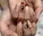 et. nailのプロフィール画像