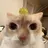 みき YKのプロフィール画像