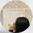 . Airiのプロフィール画像