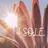 il SOLEのプロフィール画像