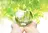 鈴木 直子のプロフィール画像