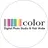 studio color