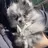 。 Omiのプロフィール画像