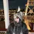 konatsu 🪽captureのプロフィール画像