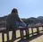 中嶋 柚未のプロフィール画像