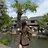 桑田 新菜のプロフィール画像