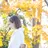 フルーヴコリーヌ Rieのプロフィール画像
