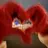 伊藤 いちごのプロフィール画像