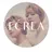 ECREA ❤️のプロフィール画像