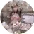 Prize Iris Ricoのプロフィール画像