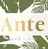 nail salon Ante